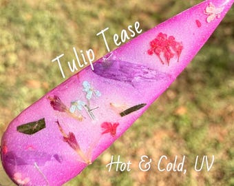 Tulip Tease