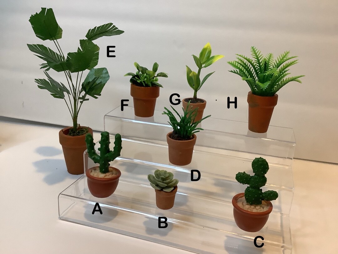 1/6 or 1/8 Scale MINIATURE GARDEN CENTER - Potted Plants & Tools - Etsy