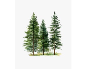 Watercolor Pine Trees Painting Misty Forest Art Print Pine Tree Evergreen Forest Landscape Wall Art Poster