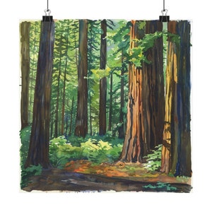 Redwood National Park Art Print, California Watercolor Painting, Redwood Trees Print, US National Parks Art, Travel Poster