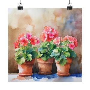 May include: Three terracotta pots with pink and red geraniums in bloom. The pots are arranged in a row on a light brown surface.