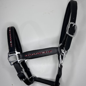 May include: Black leather horse halter with silver-tone hardware and red crystal accents. The halter features a padded crown and noseband for comfort. The crystals are set in a row along the browband and noseband.