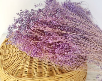 Lilac Broom Bloom Dried Flower/ Lilac Wedding / Light Purple Dried Flower Bunch for Decor/ DIY Dried Flower Bunch/ Bloom Broom for Bouquet.