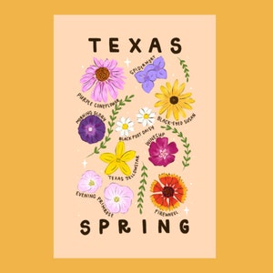 Carte postale Texas Spring 4 x 6 po.