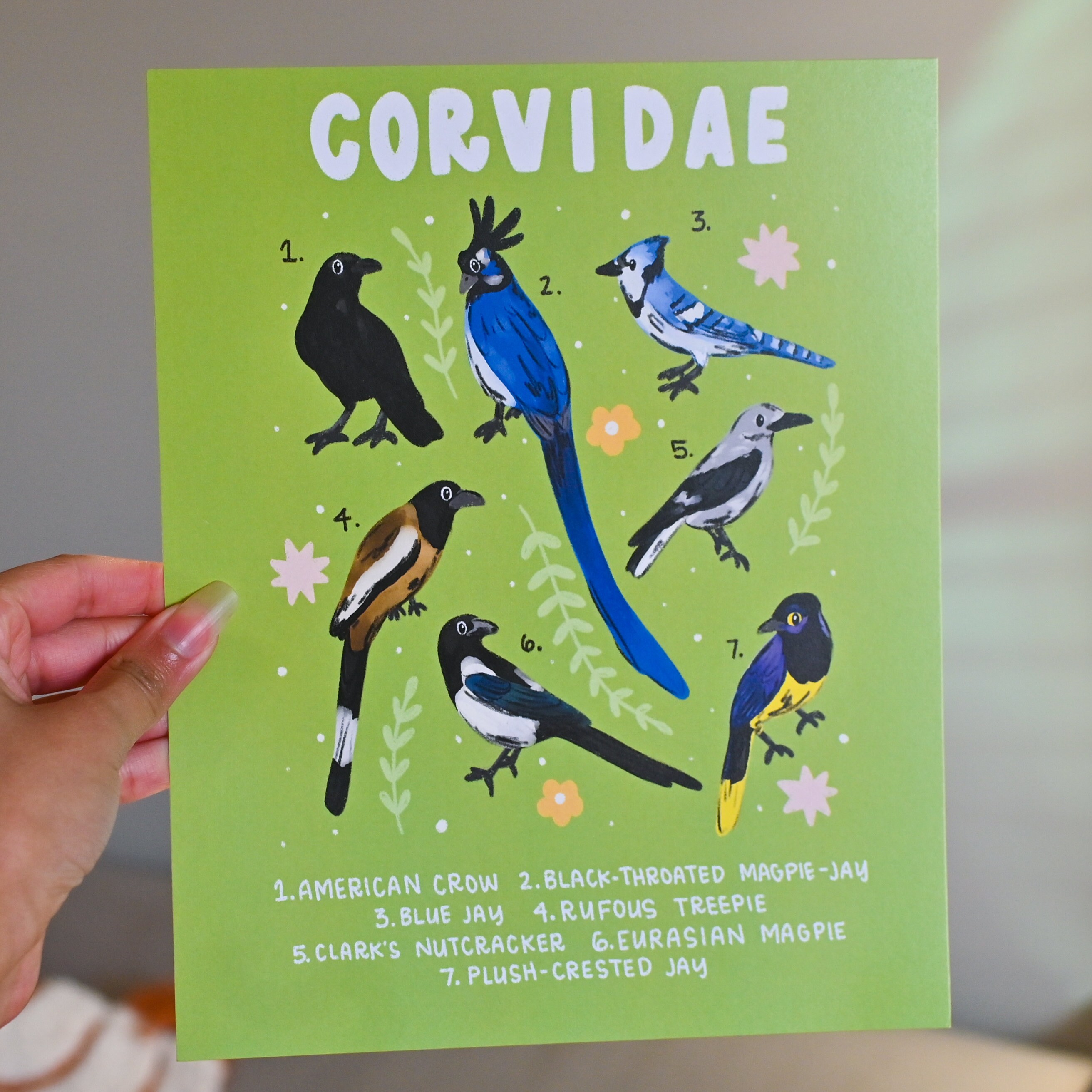 Corvidae Print - Etsy