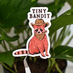 Tiny Bandit Raccoon Waterproof Vinyl Sticker - Matte