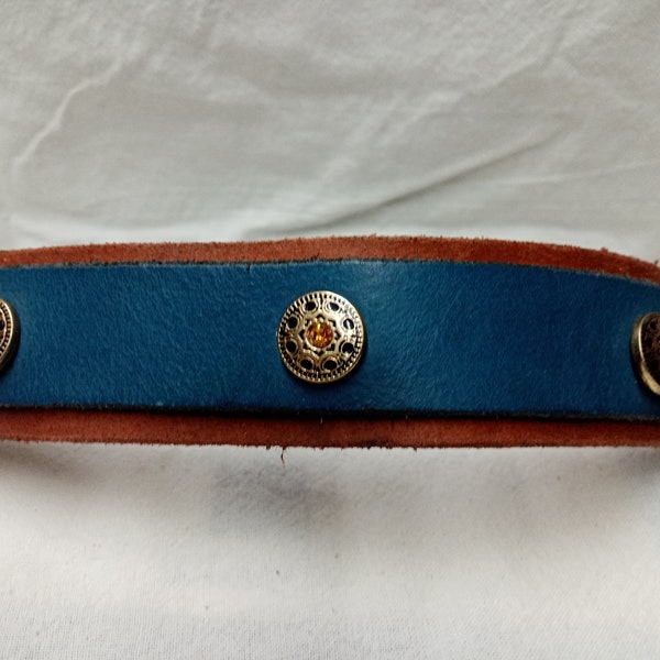 Dog collar blue brown gold leather