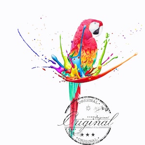 PARROT png, PARROT watercolor sublimation digital Download, PARROT Sublimation design, sublimation download, png for sublimation designs