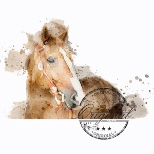 Horse png, horse watercolor sublimation digital Download, HORSE  Sublimation design, sublimation download, png for sublimation designs