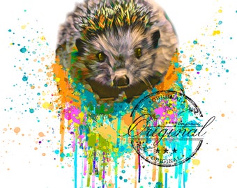 Hedgehog png, Hedgehog svg sublimation digital Download, Hedgehog Sublimation design, sublimation download, png for sublimation designs