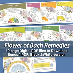 Wiskundige wichelroede - Flowers of Bach - Pendelkaart - Wiskundige wichelroede bloesem