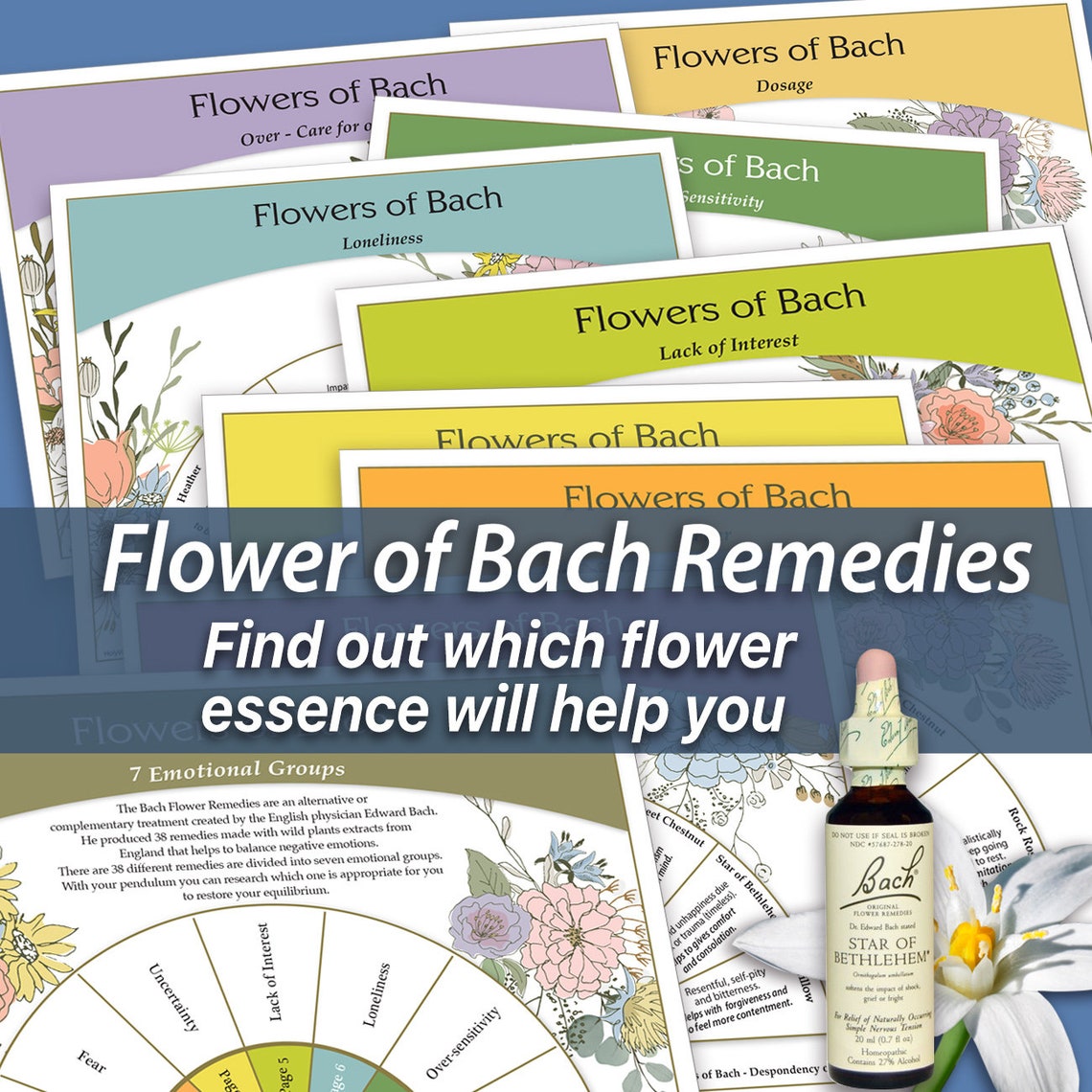 Dowsing Chart Flowers of Bach Pendulum Chart Flower | Etsy