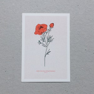 A6 Karte mit Umschlag "Klatschmohn" | umweltfreundlich, vegan, plant-based ink. Risografie-Druck. Artprint