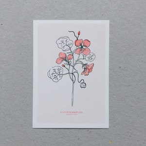 Karte A6 "Kapuzinerkresse" | umweltfreundlich, vegan