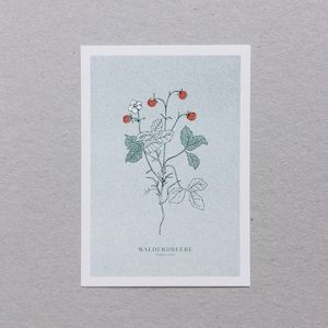 A6 Karte mit Umschlag "Walderdbeere" | umweltfreundlich, vegan, plant-based ink. Risografie-Druck. Artprint