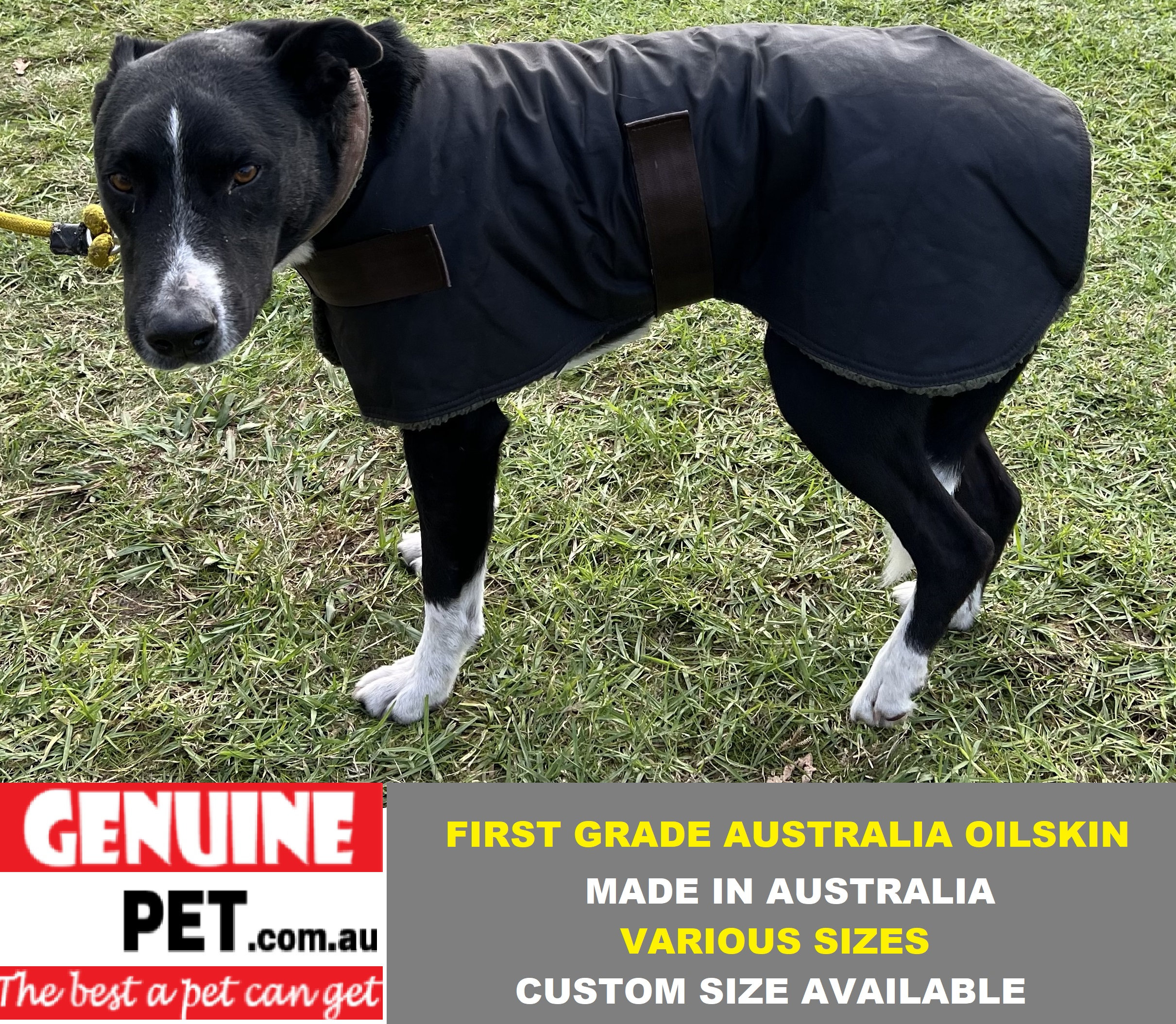 Dog oilskin sales