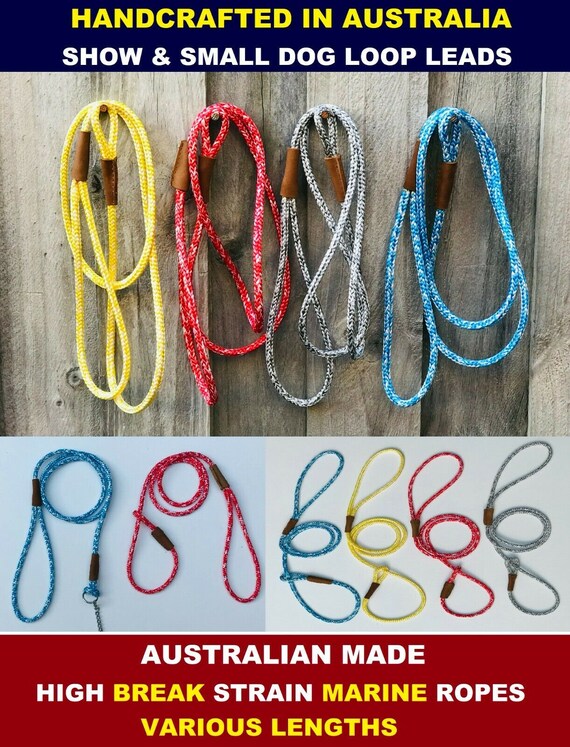 Dog show leads sale