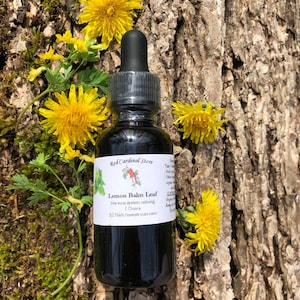 Lemon Balm Leaf Tincture Herb Extract Double Extraction