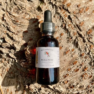 Mullein Flower Tincture Herb Extract Double Extraction