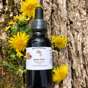 Jujube Fruit Tincture Herb Extract Double Extraction
