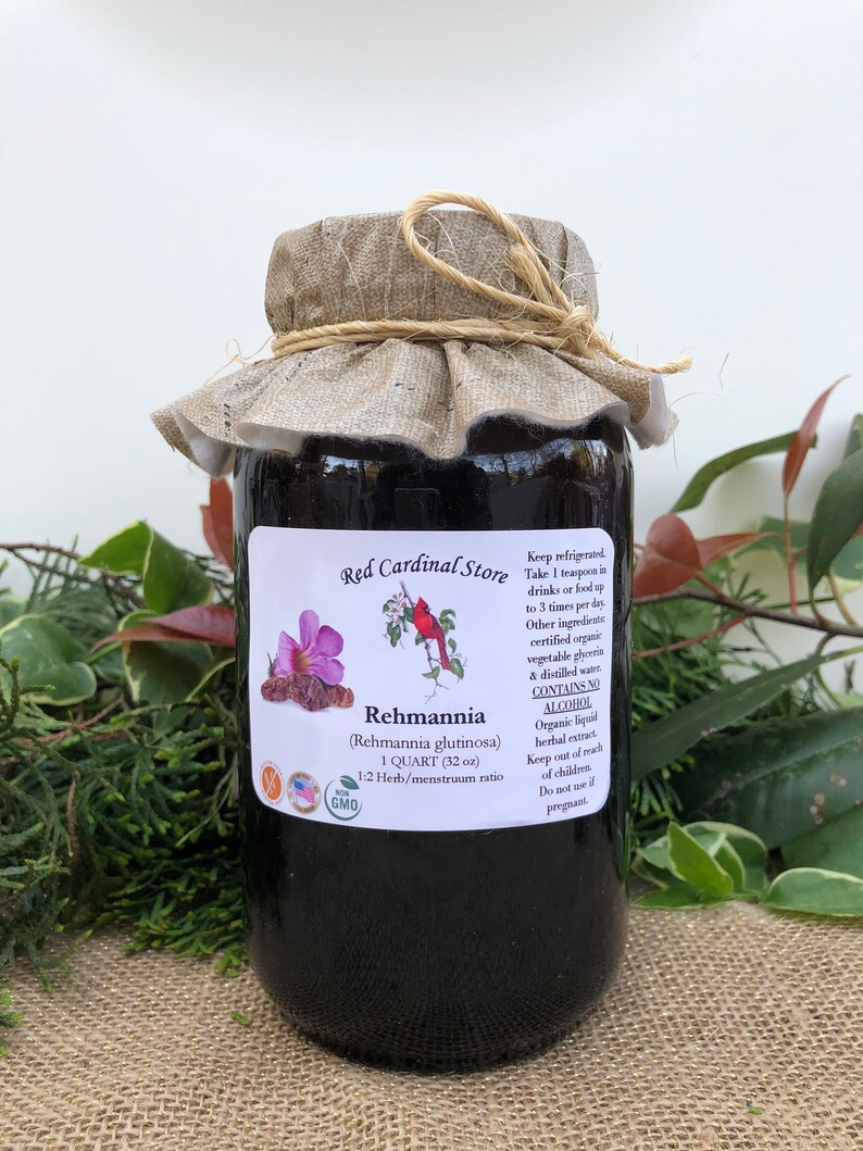 May include: A glass jar with a brown fabric lid and a label that reads "Red Cardinal Store" and "Rehmannia (Rehmannia glutinosa) 1 QUART (32 oz) 1:2 Herb/menstruum ratio NON GMO". The jar is filled with a dark liquid and is sitting on a brown burlap surface.
