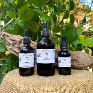 Kigelia (Sausage Tree) Tincture Herb Extract Double Extraction