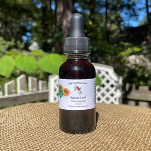 Papaya Leaf Tincture Herb Extract Double Extraction