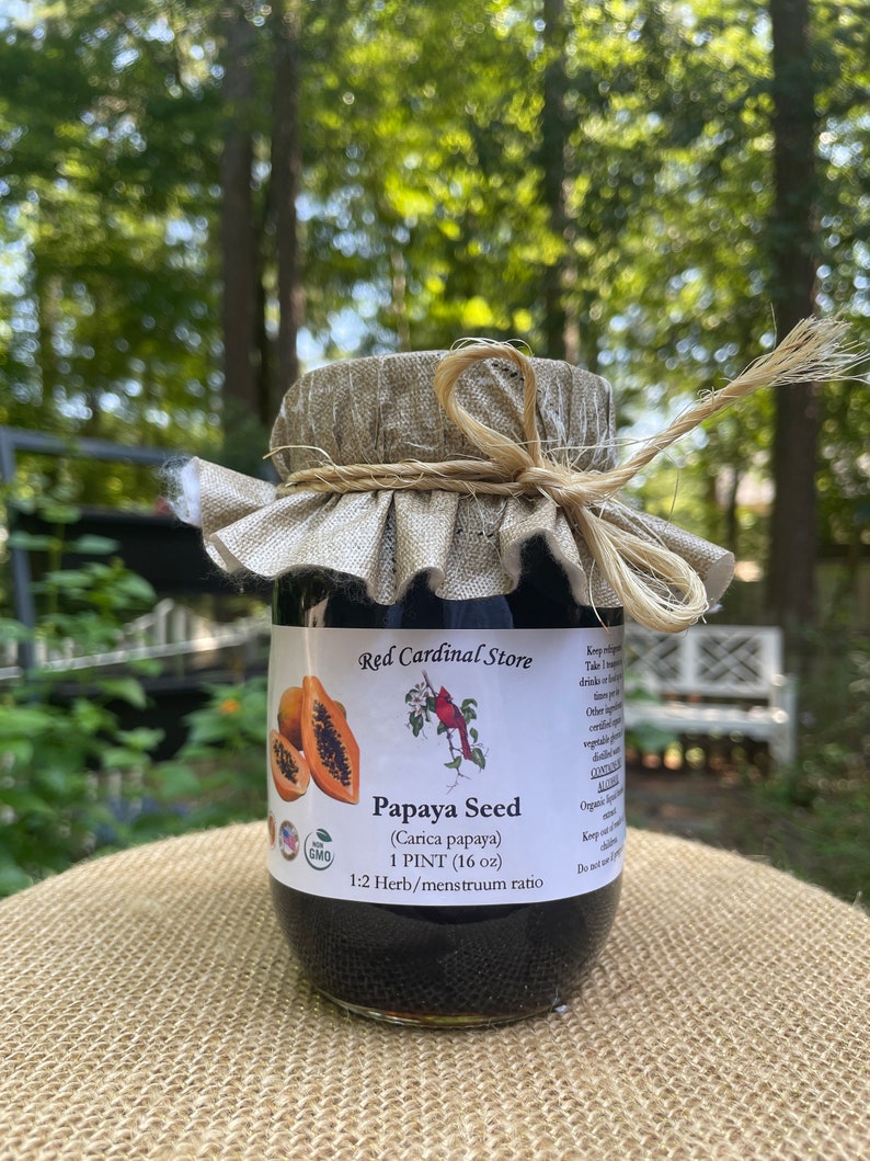 May include: A glass jar with a brown lid and a hessian fabric cover. The jar contains a dark liquid and has a label that reads "Papaya Seed (Carica papaya) 1 PINT (16 oz) 1:2 Herb/menstruum ratio". The label also has a red cardinal logo and a non-GMO certification.