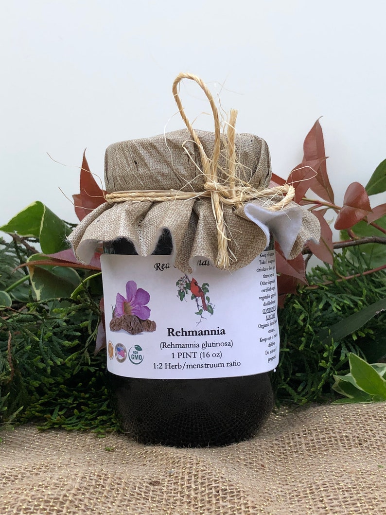 May include: A glass jar with a brown lid and a burlap cloth tied around it. The jar contains a dark liquid and has a label that reads "Rehmannia (Rehmannia glutinosa) 1 PINT (16 oz) 1:2 Herb/menstruum ratio". The label also includes a small image of a red cardinal and a purple flower.