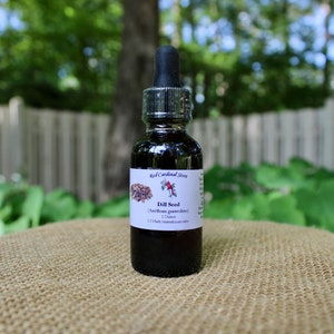 Dill Seed Tincture Herb Extract Double Extraction
