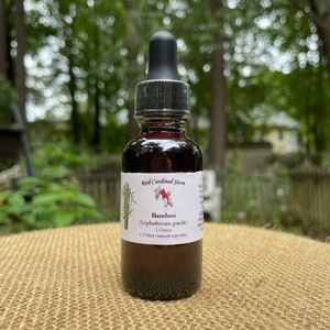 Bamboo Tincture Herb Extract Double Extraction