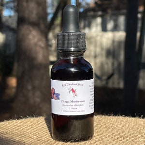 Chaga Mushroom Tincture Herb Extract Double Extraction