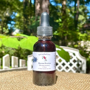 Mucuna Pruriens (Velvet Bean) Tincture Herb Extract Double Extraction