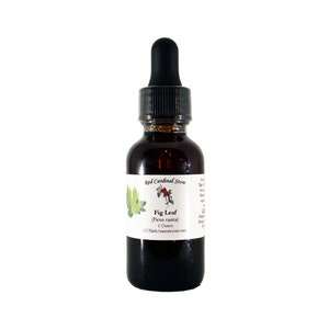 May include: A small brown glass bottle with a black dropper top. The bottle is labeled "Red Cardinal Stone" and "Fig Leaf (Ficus carica) 1 Ounce".