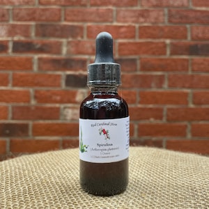 Spirulina Tincture Herb Extract Double Extraction