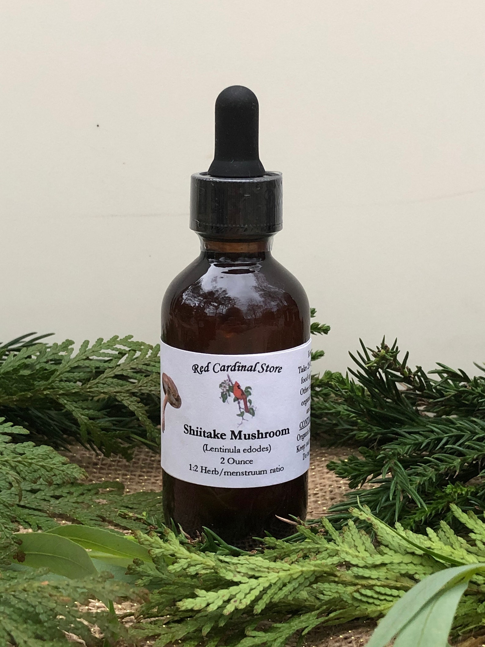Shiitake Mushroom Tincture Herb Extract Double Extraction Etsy