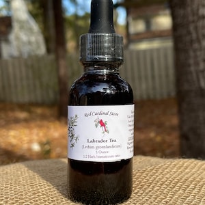 Labrador Tea Tincture Herb Extract Double Extraction
