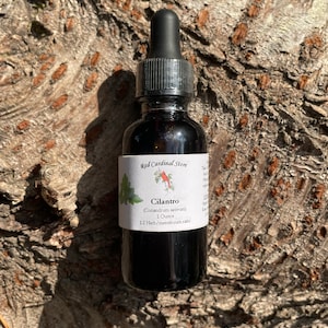 Cilantro Tincture Herb Extract Double Extraction