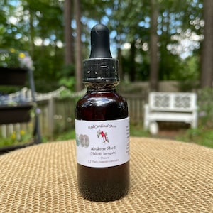 Abalone Shell (Shi Jue Ming) Tincture Herb Extract Double Extraction