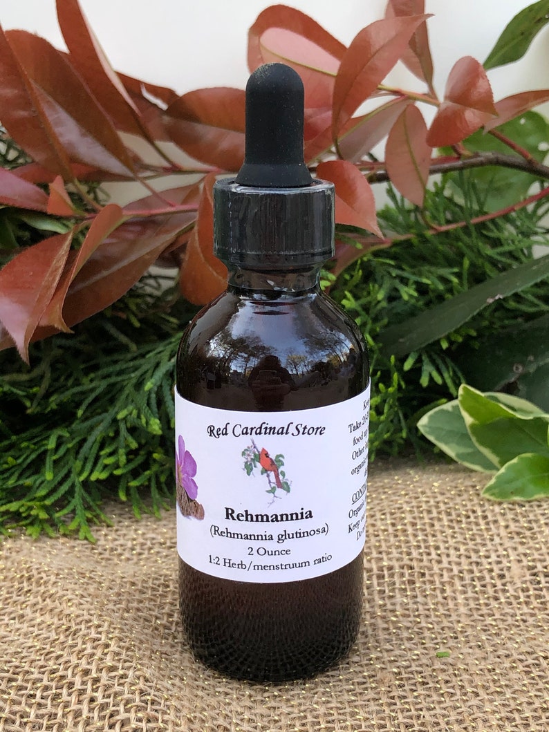 May include: A 2 ounce bottle of Rehmannia (Rehmannia glutinosa) tincture with a 1:2 herb/menstruum ratio. The bottle is brown glass with a black dropper lid. The label is white with red cardinal illustration and text.