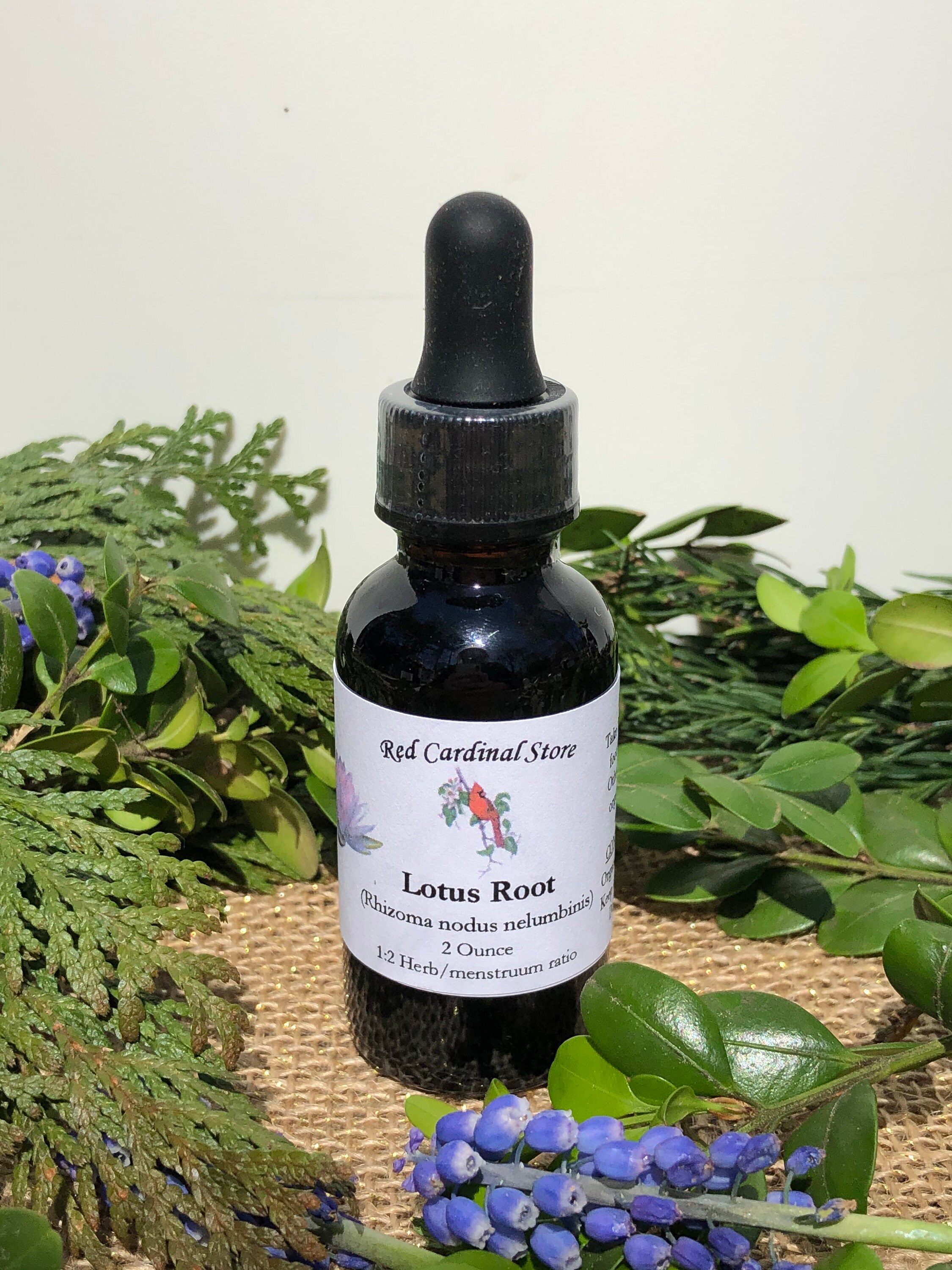 Lotus Root Tincture Herb Extract Double Extraction