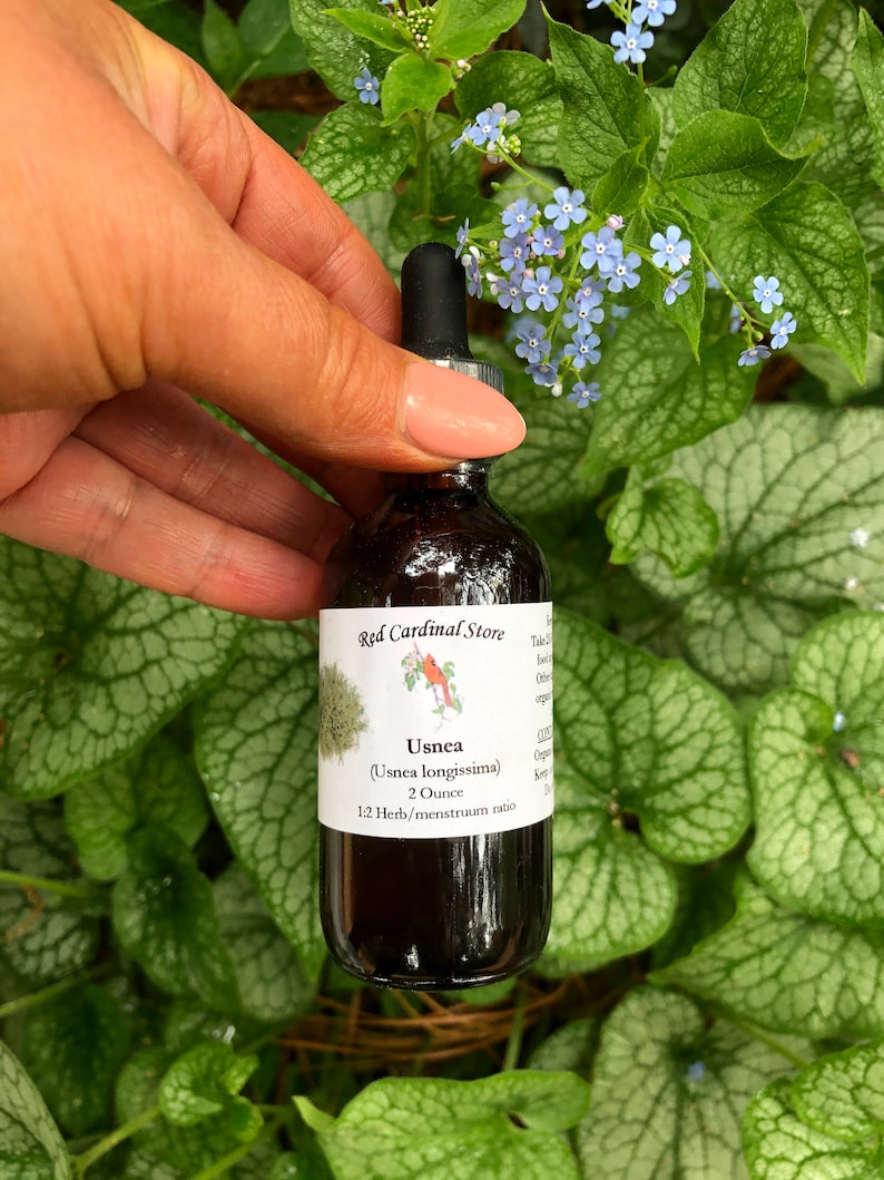May include: A 2 ounce bottle of Usnea tincture from Red Cardinal Store. The label is brown with white text and a red cardinal illustration. The bottle is in a hand against a background of green leaves and blue flowers.