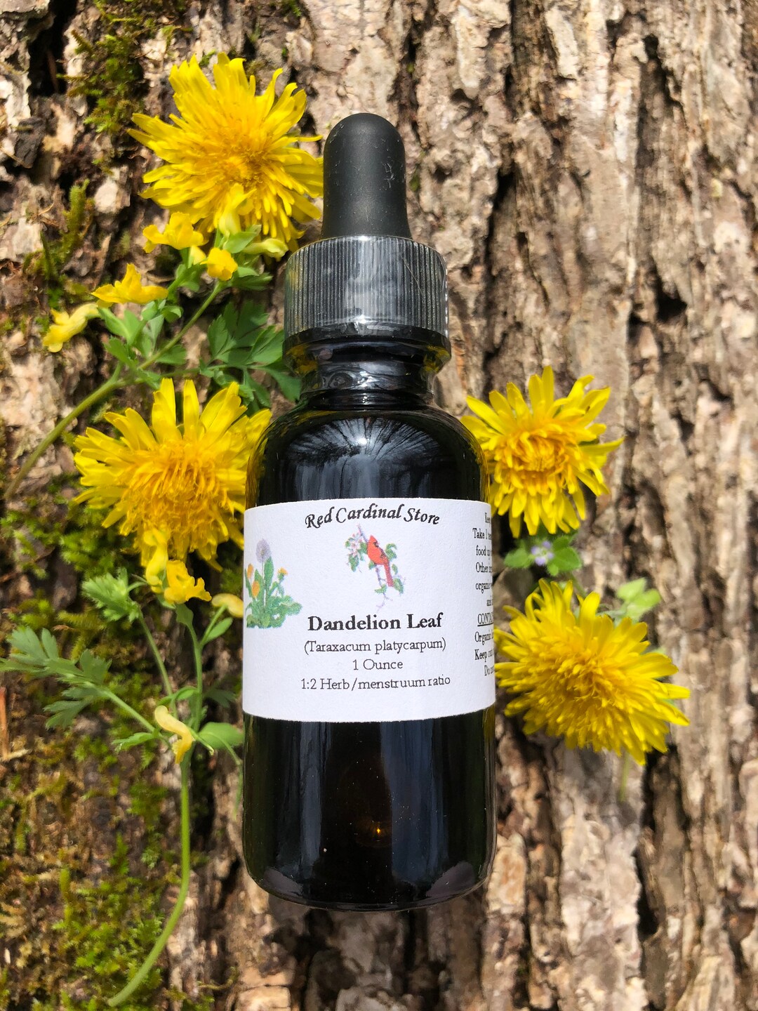 Dandelion Leaf Tincture Herb Extract Double Extraction Etsy