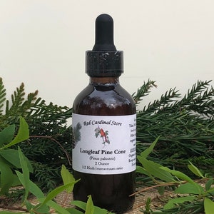 May include: A 2 ounce bottle of Longleaf Pine Cone tincture, made with organic ingredients. The bottle is labeled with the name of the product, the botanical name (Pinus palustris), and the herb/menstruum ratio. The bottle is surrounded by green foliage.