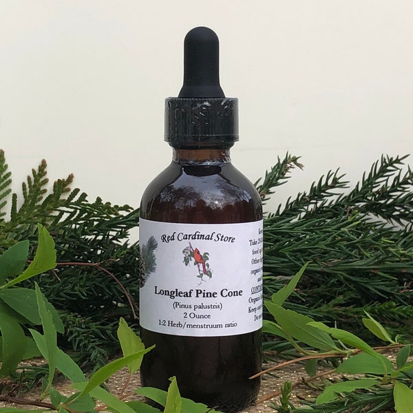 Longleaf Pine Cone Tincture Herb Extract Double Extraction