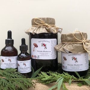 Shiitake Mushroom Tincture Herb Extract Double Extraction