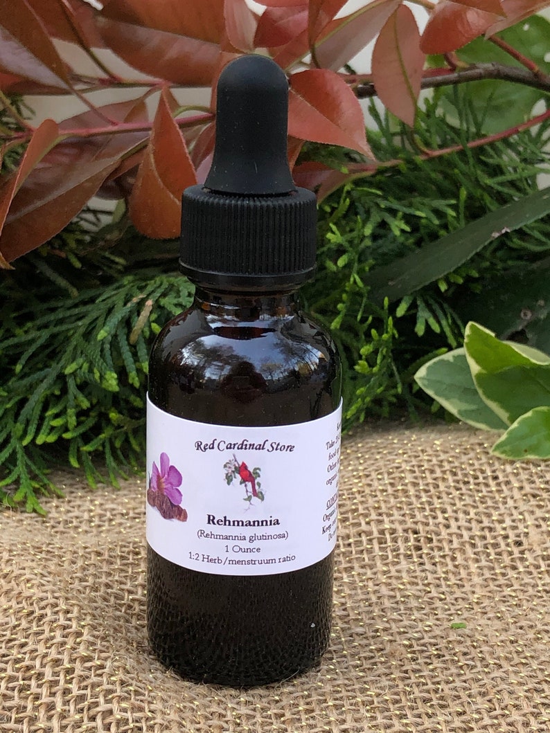 May include: A brown glass bottle with a black dropper top and a white label. The label says "Red Cardinal Store" and "Rehmannia (Rehmannia glutinosa) 1 Ounce 1:2 Herb/menstruum ratio".