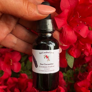 Sea Cucumber (Frondosa) Tincture Herb Extract Double Extraction