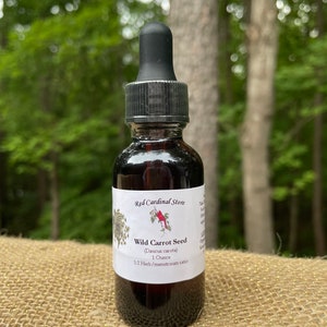 Wild Carrot Seed (Queen Anne&#39;s Lace) Tincture Herb Extract Double Extraction