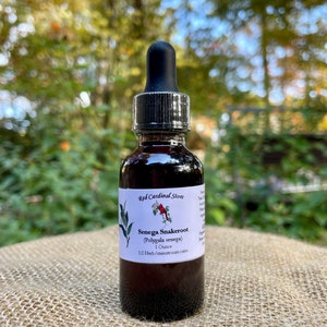 Senega Snakeroot (Polygala Senega) Tincture Herb Extract Double Extraction